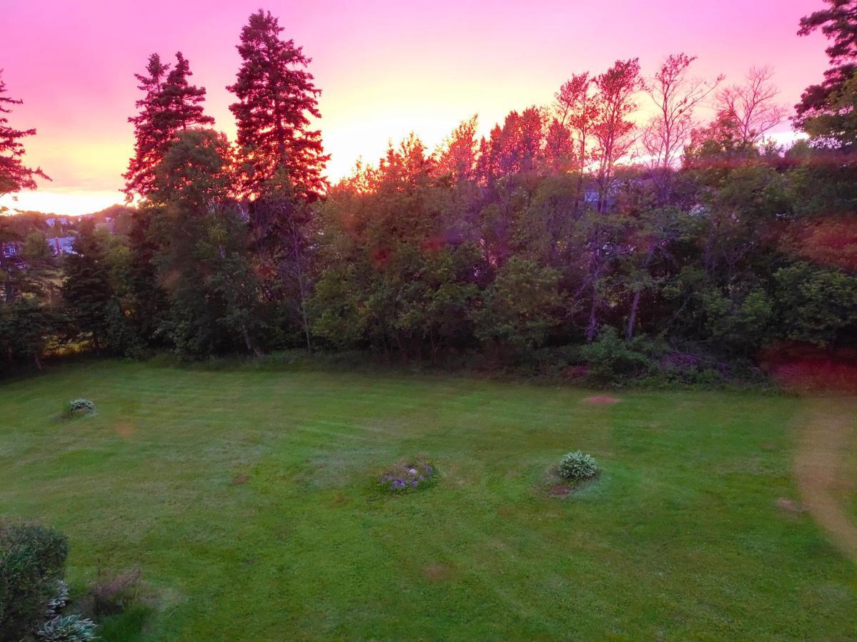 酣息小栈 Sweet Dreams Bed & Breakfast Cornwall Dış mekan fotoğraf