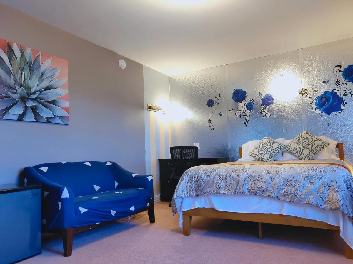 酣息小栈 Sweet Dreams Bed & Breakfast Cornwall Dış mekan fotoğraf